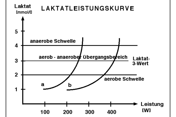 Schematische Darstellung zweier Laktatleistungskurven: Kurve "a" zeigt einen gering trainierten Athleten mit früh steigendem Laktatwert, Kurve "b" einen hoch trainierten Athleten mit flacherer Kurve und verzögertem Laktatanstieg. Markiert sind die aerobe Schwelle (~2 mmol/L) und die anaerobe Schwelle (~4 mmol/L). Die Rechtsverschiebung der Kurve bei Trainierten symbolisiert eine verbesserte Ausdauerleistung. Ergänzt wird das Diagramm durch Trainingsbereiche: Grundlagenausdauer unterhalb der aeroben Schwelle, entwickelnde Ausdauer zwischen den Schwellen und MLSS-Bereich an der anaeroben Schwelle.